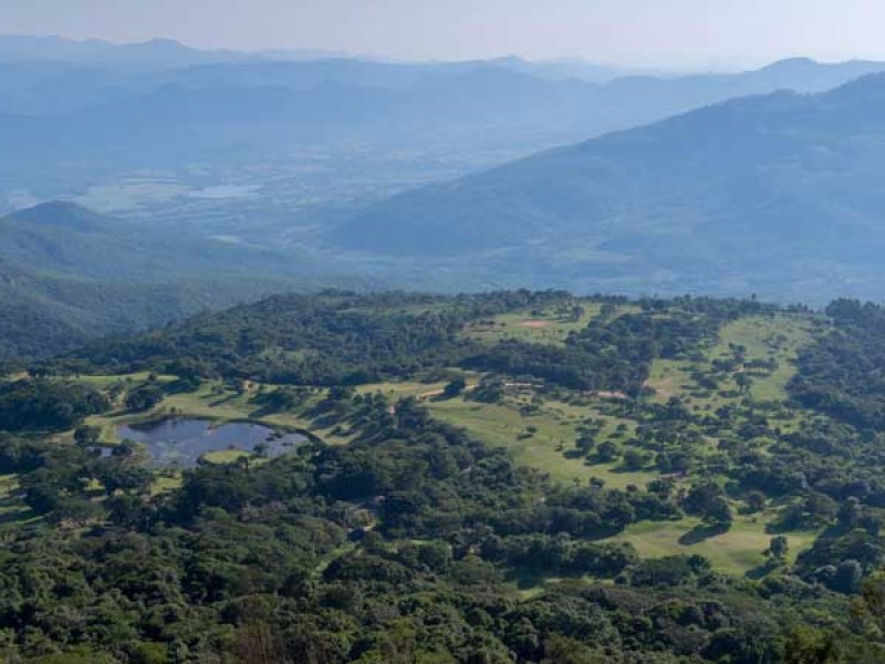 Bunga Forest Botanical Reserve