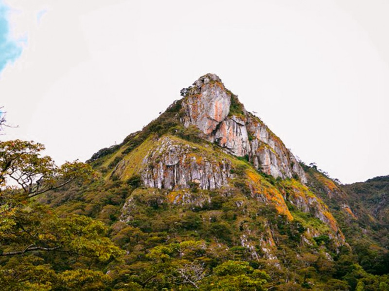 Bvumba Mountains 