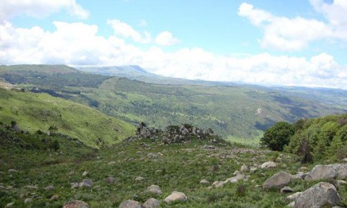 Eastern Highlands